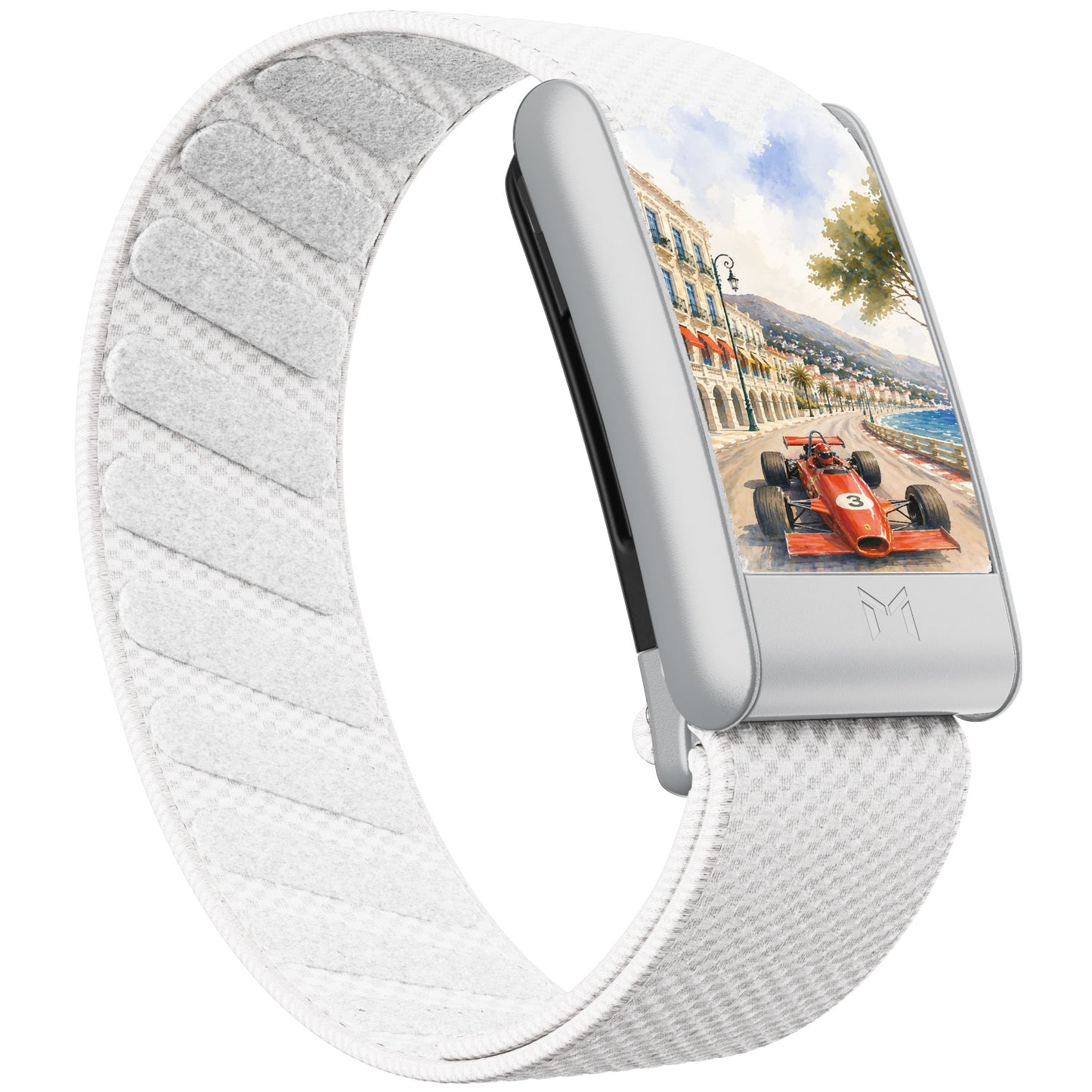 Monaco F1
